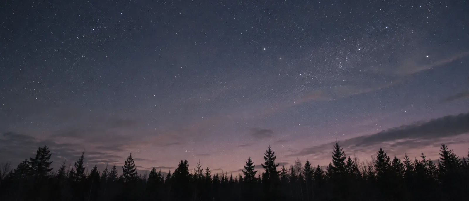 A clear night sky with faint stars over a dark line of trees