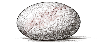 A smooth river stone