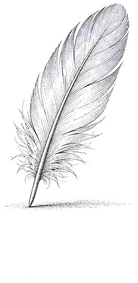 A single long feather