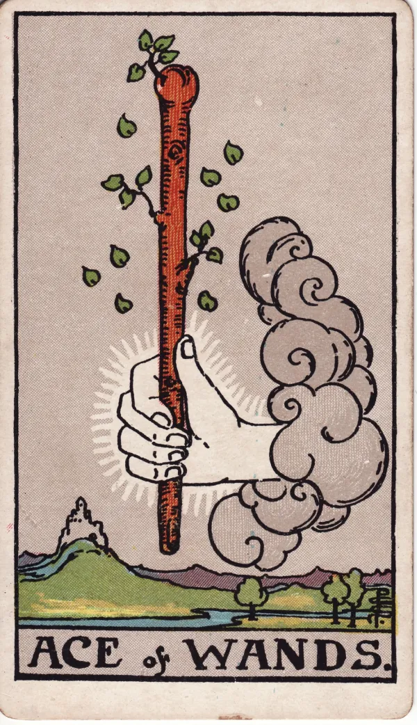 A card turned face up in this position